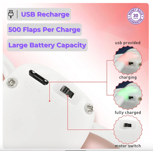 FeloCity Flying Cat Toy