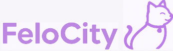 FeloCity